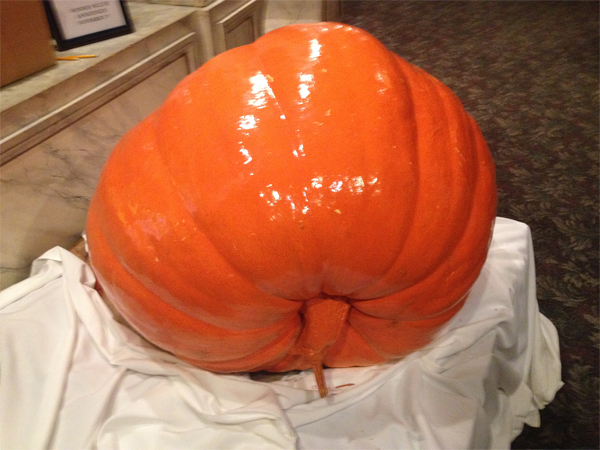 a real pumpkin